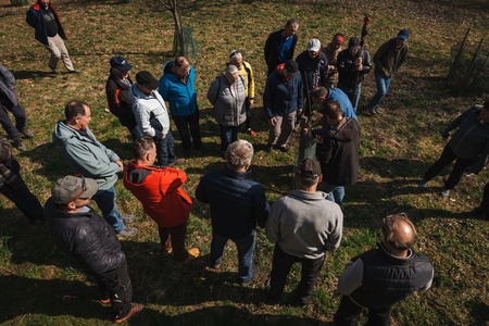 Obrezovanje sadovnjaka ob Prežihovi bajti (6)